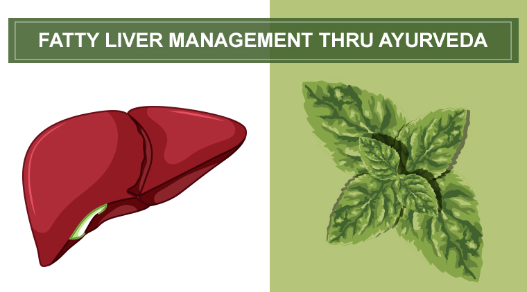 Everything you need to know about Ayurvedic medicine for fatty liver